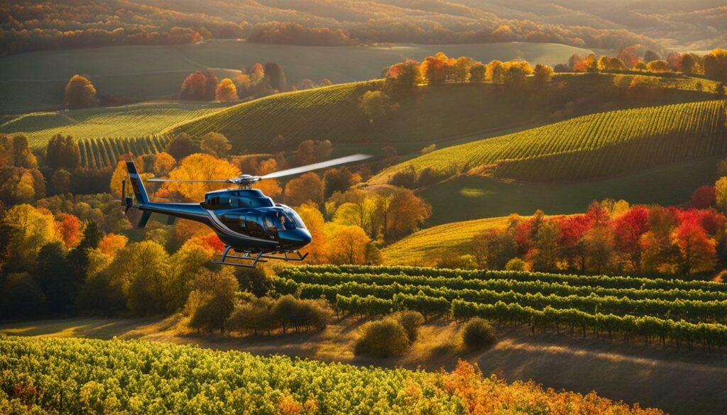 Scenic Helicopter Tour and Wine Trail Exploration